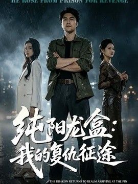 纯阳龙盒:我的复仇征途海报